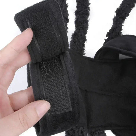Pet Spooky Big Spider Halloween Costume Dress Up for Dogs Cats and Small Pets - L