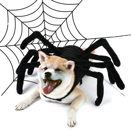 Pet Spooky Big Spider Halloween Costume Dress Up for Dogs Cats and Small Pets - L