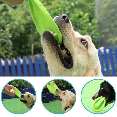 Frisbee Toy for Dogs Outdoor Fetch Training Soft Rubber Pet Flying Disc 18cm - Green