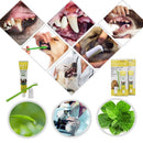 Pet Dog Cat Toothpaste and Toothbrush Set Beef Flavor