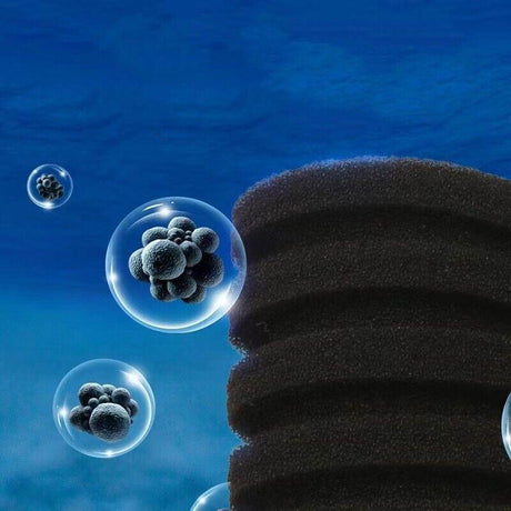 Double Head Aquarium Sponge Filter with Bio Media Box for Shrimp Breeding Tanks