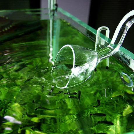 Aquarium Glass Inlet Outlet Pipe Fish Tank Filter Oil Film Remover Plant Holder - Oil removal inlet-12mm