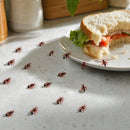240x MINI FAKE ANTS Trick Halloween Scary Creepy Joke Prank Small Gag Toy Bug
