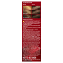 Revlon ColorSilk 20 Brown Black Permanent 3D Hair Colour w/ Keratin - Brown/Black