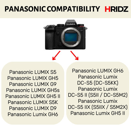 Hridz BLK22 2pcs Battery for Panasonic DMW-BLK22 LUMIX DSLR - 2-batteries only