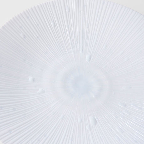 Dinner Plate 24.5cm Ice White Glaze