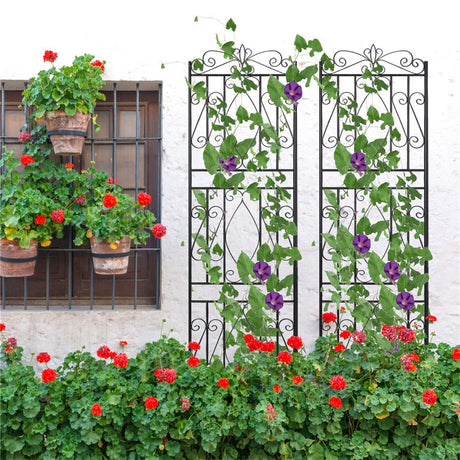 2 Pcs Large Metal Garden Trellis for Outdoor Yard & Patio