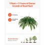 Large Hanging Artificial Boston Fern, 37-41 in Natural Spread, Sunlight-Resistant Faux Plant with 80 Branches & Flowerpot, Wall Decor for Home, Office & Outdoor