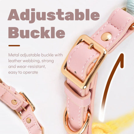 Dark Green Hand-Woven Rainbow Cotton Rope Dog Leash and Collar Set - Adjustable Veg-Tanned Leather Trim with Heavy Duty Metal Hardware - 150cm Training Lead and S Size Collar