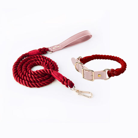 Rose Red Hand-Woven Rainbow Cotton Rope Dog Leash and Collar Set - Adjustable Veg-Tanned Leather Trim with Heavy Duty Metal Hardware - 150cm Training Lead and M Size Collar