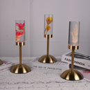 Gypsophila Paniculata Eternal Flower Acrylic Table Lamp - Color-Changing LED, USB Rechargeable, Touch Control