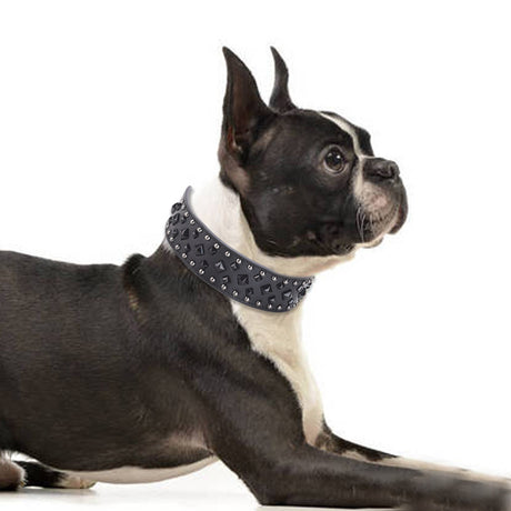 Size S Pink 1 pack Stylish PU Leather Dog Collar with Spikes - Adjustable, Durable & Comfortable for Medium to Large Breeds