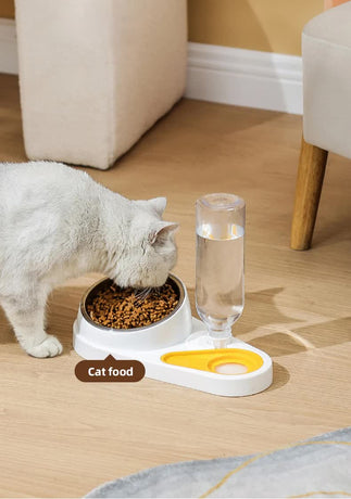 Blue Pet Bowl Set with Automatic Gravity Water Dispenser - Stainless Steel & PP Feeder Station