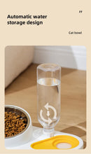 Blue Pet Bowl Set with Automatic Gravity Water Dispenser - Stainless Steel & PP Feeder Station
