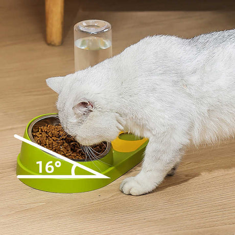 Green And Yellow Pet Bowl Set with Automatic Gravity Water Dispenser - Stainless Steel & PP Feeder Station