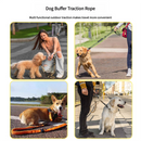 Black Shock Absorbing Dog Leash with Reflective Stitching - 135cm for Small to Large Dogs