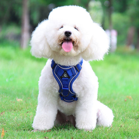 Blue Reflective Mesh Dog Harness and Leash Set - Adjustable No-Pull Vest - M
