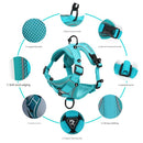 Blue Reflective Mesh Dog Harness and Leash Set - Adjustable No-Pull Vest - XL