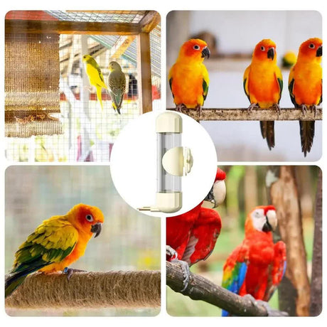 Brown Automatic Bird Water Feeder Bottle (200ml) - Leakproof No-Drip Dispenser for Parrots