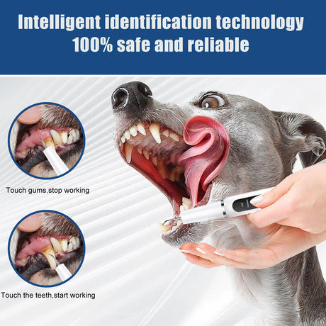 Black Professional Pet Dental Cleaning Kit - Ultrasonic Scaler, Tools & 3 Modes