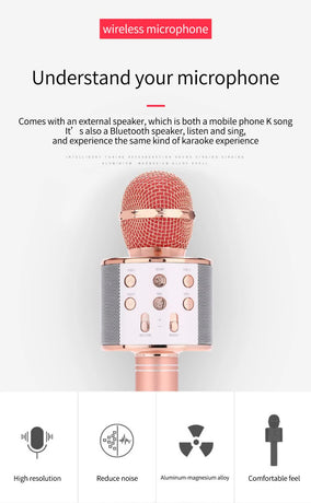 Black Bluetooth 5.0 Karaoke Microphone for Family Entertainment