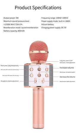 Black Bluetooth 5.0 Karaoke Microphone for Family Entertainment