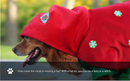 Christmas Dog Costume - Festive Hooded Cape & Green Jumpsuit Outfit (Size : 3XL)