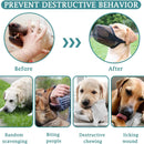 2 Pcs Size XS Grey Breathable Mesh Dog Muzzle - Anti-Barking, Biting & Chewing - Adjustable & Comfortable Nylon Muzzle for Dogs