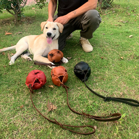 Black Durable Leather Dog Training Ball with Loop Handle - Interactive Bite & Tug Toy for Playful Pups