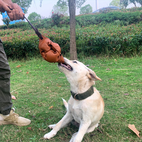 Red Durable Leather Dog Training Ball with Loop Handle - Interactive Bite & Tug Toy for Playful Pups