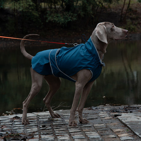 55# Blue Waterproof Reflective Dog Raincoat for Small to Large Dogs