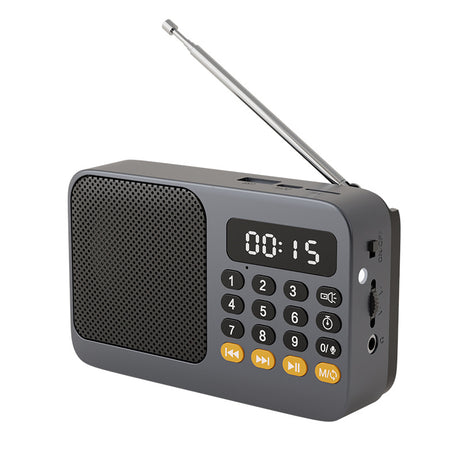 Portable Digital Music Player & FM Radio,4 Playback Modes, LED Flashlight(Gray)