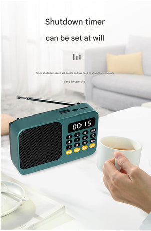 Portable Digital Music Player & FM Radio,4 Playback Modes, LED Flashlight(Gray)