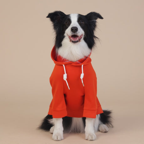 Orange Classic Dog Sweatshirt with Hood & Drawstrings - For Large Dogs (Size : 6XL)