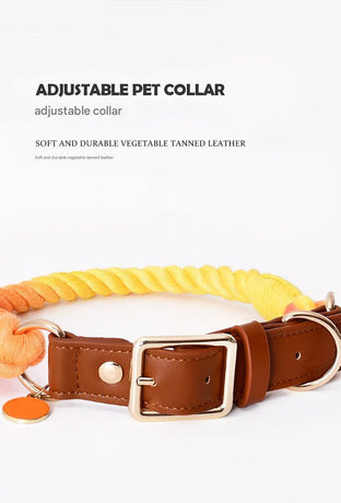 Premium Leather Pet Collar and Leash - Soft, Strong Braided Rope (Iridescent Red - Size L)