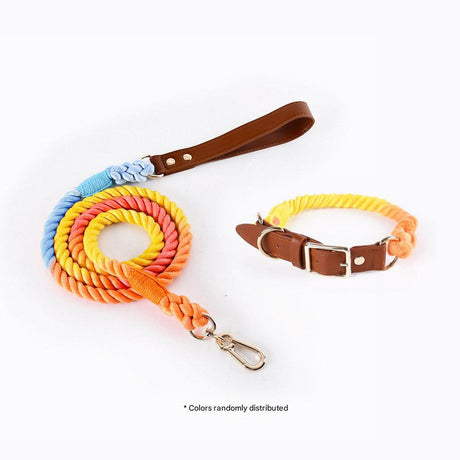Premium Leather Pet Collar and Leash - Soft, Strong Braided Rope (Iridescent Red - Size S)