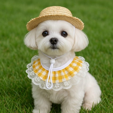 Khaki and Yellow 2 Sets Adorable Porch Goose & Small Pet Costume Set - 2 Summer Straw Hat & 2 Gingham Bib