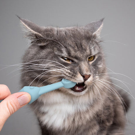 6 x Silicone Pet Toothbrush (3 Fish shape and 3 Bone shape) Green Gentle Food-Grade Silicone Pet Toothbrush - Promotes Healthy Teeth & Gums for Dogs & Cats