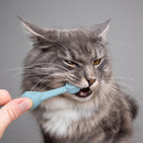 6 x Silicone Pet Toothbrush (3 Fish shape and 3 Bone shape) Beige Gentle Food-Grade Silicone Pet Toothbrush - Promotes Healthy Teeth & Gums for Dogs & Cats