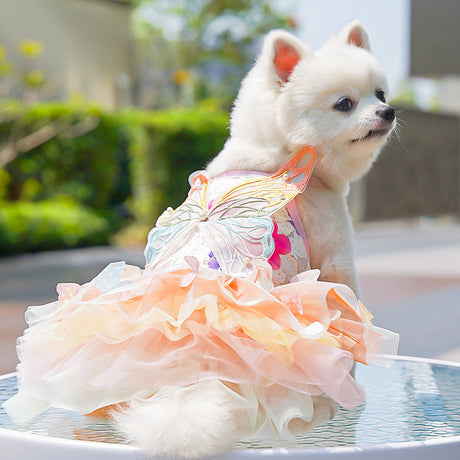Butterfly Tutu Dress for Dogs & Cats - Summer Pet Princess Gown with Lace Wings and Layered Tulle Skirt(2XL)