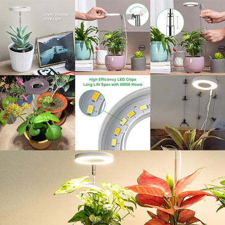 White Full Spectrum LED Grow Light with Telescopic Stake for Indoor Plants