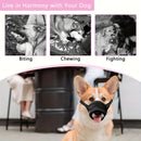 3 Pcs Size XXL Black Breathable Mesh Dog Muzzle - Soft & Comfortable Guard to Prevent Biting, Allows Panting and Drinking