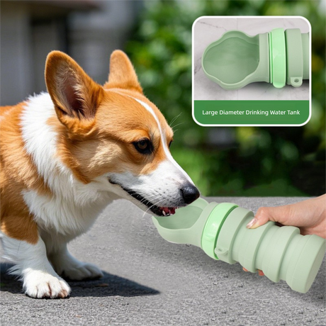 Green Portable Collapsible Pet Water Bottle for Dogs Outdoor Travel Drinking Dispenser Silicone Pet Water Cup