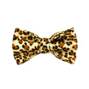 S Luxury 5 Piece Dog Harness and Collar Set Leopard Print with Leash Bow Tie & Waste Bag Holder Gold Metal Buckle Walking Gear