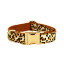 XL Luxury 5 Piece Dog Harness and Collar Set Leopard Print with Leash Bow Tie & Waste Bag Holder Gold Metal Buckle Walking Gear