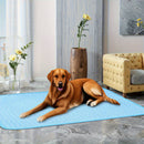 Blue Pet Summer Ice Silk Cooling Mat - Breathable Latex Sleep Pad for Dogs & Cats (100*70cm)