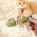 Brown 5 Pack Cat Catnip Toys Fish Bone Shaped Silvervine Chew Sticks for Teeth Cleaning and Interactive Play