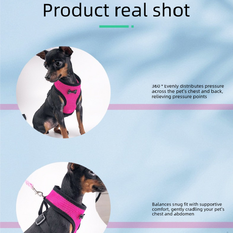 2-Pcs Red Adjustable Pet Harness with Leash – Breathable Mesh Design for Small Dogs, Cats, Chickens, Ducks & More | Anti-Escape, 360° Support, Lightweight & Comfortable in Australia(Size:XL)