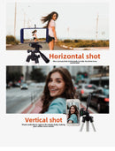 110cm Lightweight Camera & Phone Tripod Stand - Portable Aluminium Travel Tripod with 3-Way Head, Bubble Level & Universal Smartphone Holder - 3110 Adjustable Mount for Live Stream & Vlogging - Black and Silver