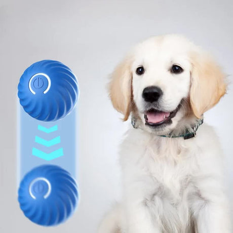 Blue Interactive Gravity Bouncing Dog Toy Ball(67MM) - Smart Automatic Teasing Pet Toy, Durable TPR with Yellow Sea Urchin Cover